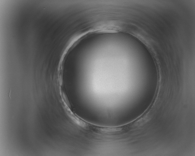 X0000060551200200511070913