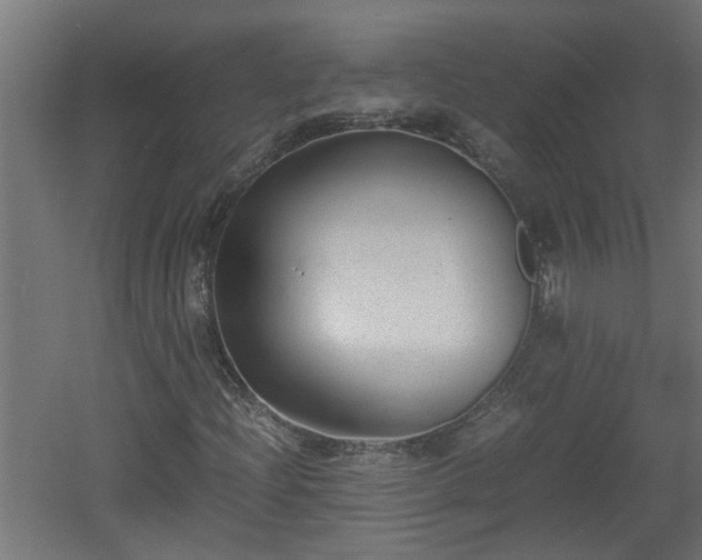 X0000060551204200511070912