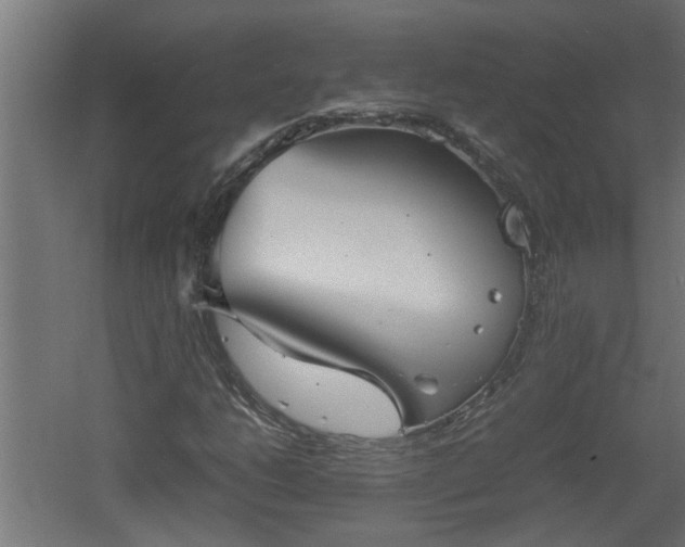 X0000060551206200511070912