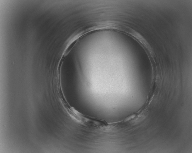 X0000060551242200511070913