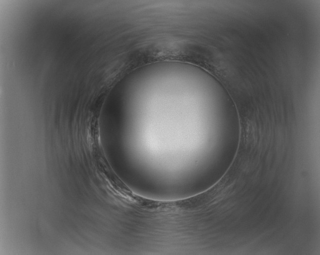 X0000060551250200511070912