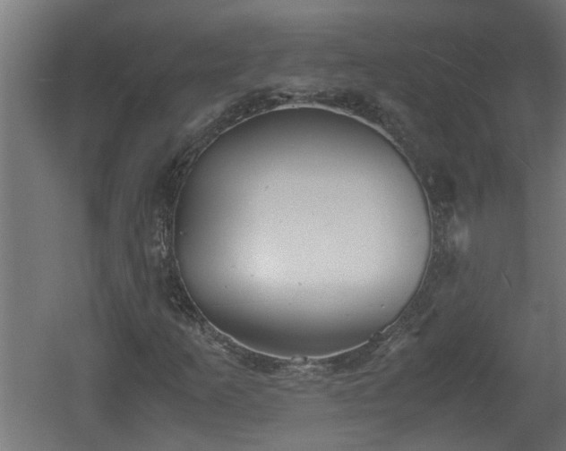 X0000060551253200511070912