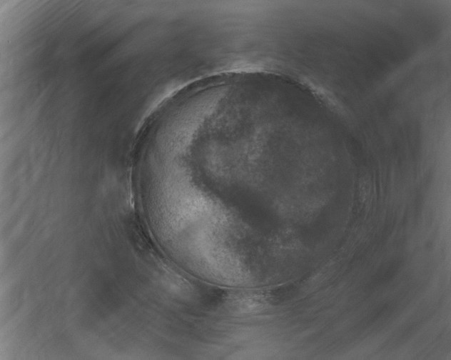 X0000060551262200511070912