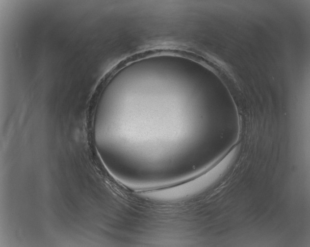 X0000060551264200511070912