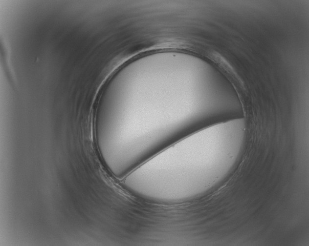 X0000060551276200511070911