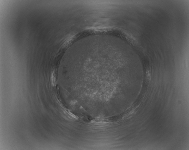 X0000060551300200511070910