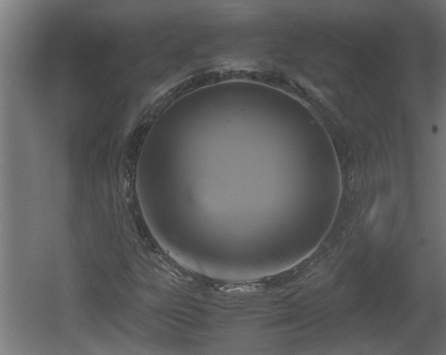 X0000060551303200511070910