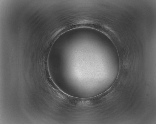 X0000060551313200511070911
