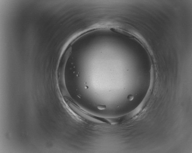X0000060551344200511070911