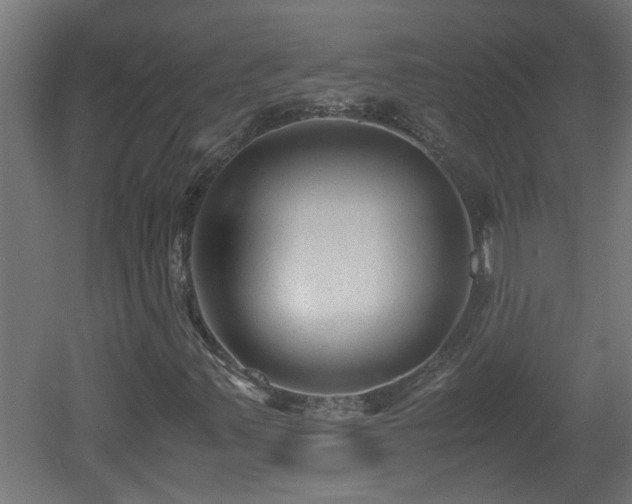 X0000060551347200511070910