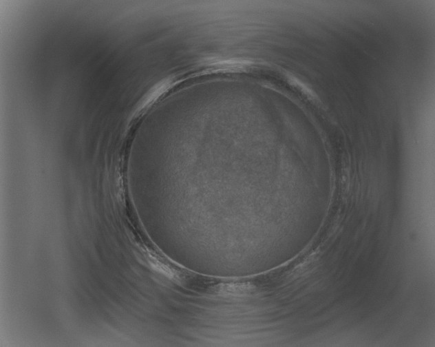 X0000060551354200511070910