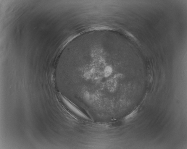 X0000060551361200511070910