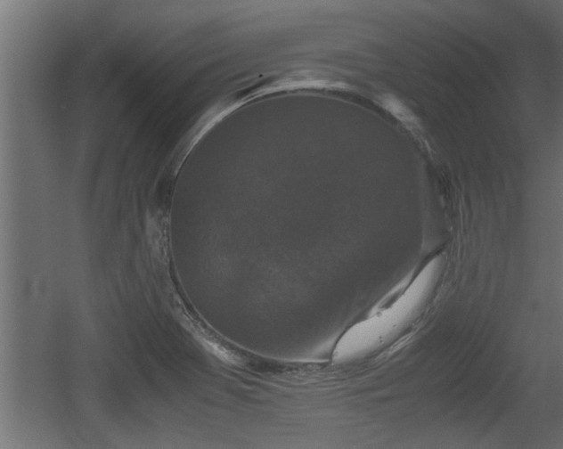 X0000060551369200511070910