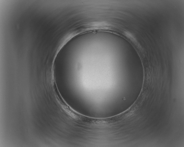 X0000060551370200511070910
