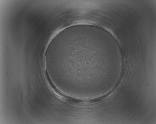 X0000060551371200511070910