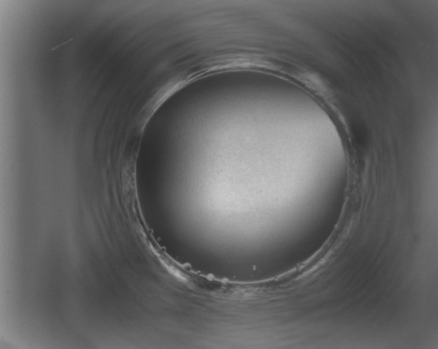 X0000060551385200511070910