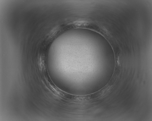 X0000060551396200511070909