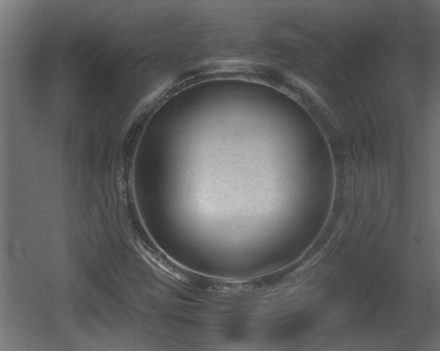 X0000060551403200511070909