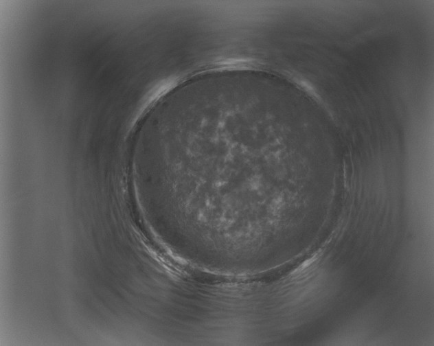 X0000060551405200511070909