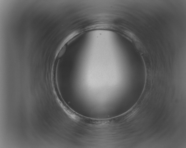 X0000060551426200511070909