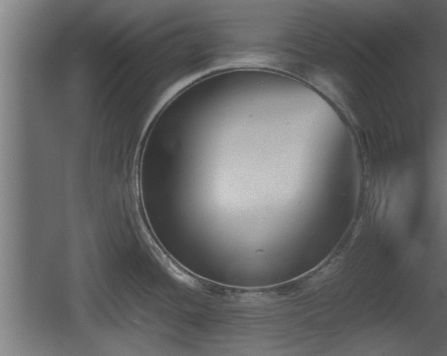 X0000060551436200511070909