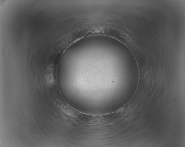 X0000060551442200511070909