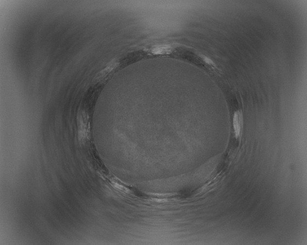 X0000060551443200511070909
