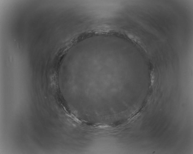 X0000060551445200511070909