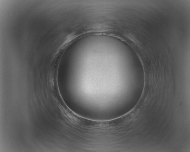 X0000060551451200511070909