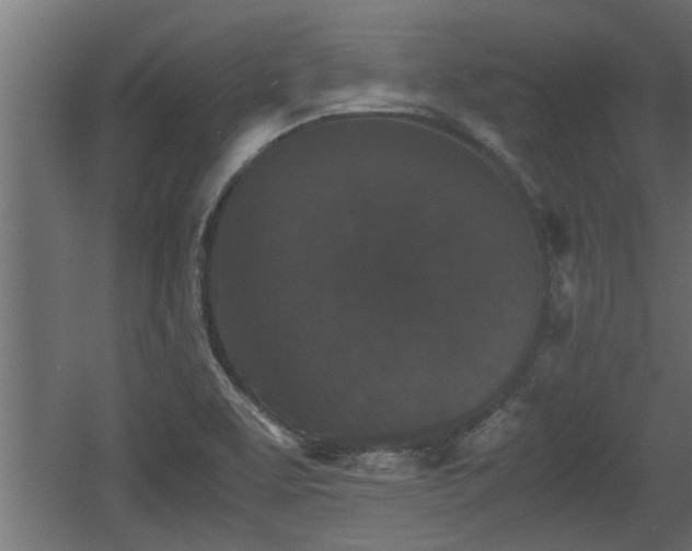 X0000060551463200511070908
