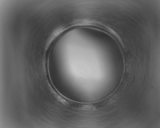 X0000060551464200511070908