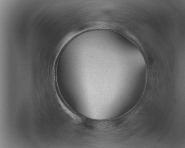 X0000060551479200511070908