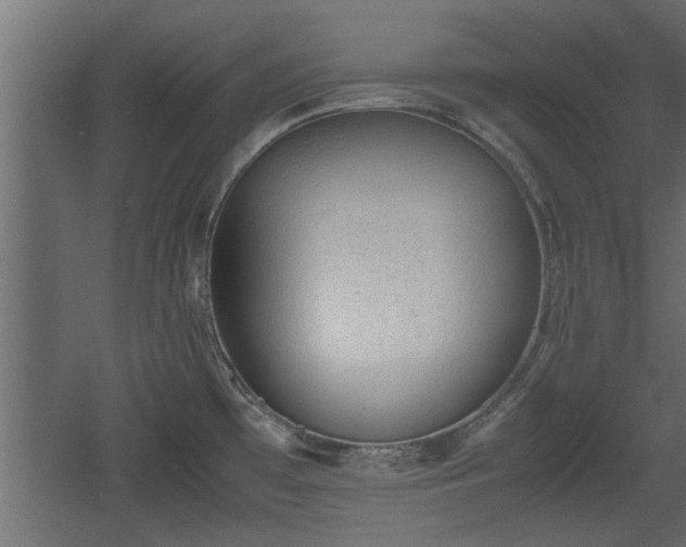 X0000060551481200511070908