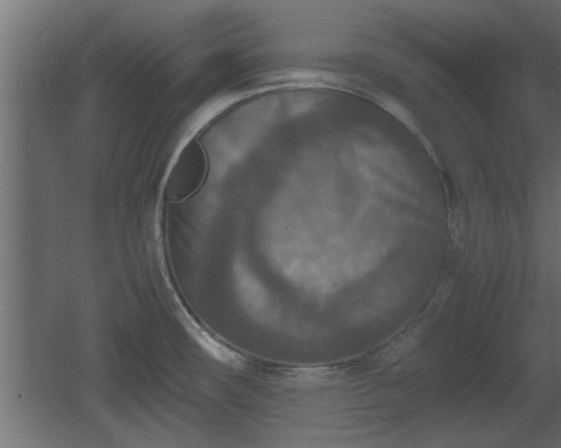 X0000060551482200511070908