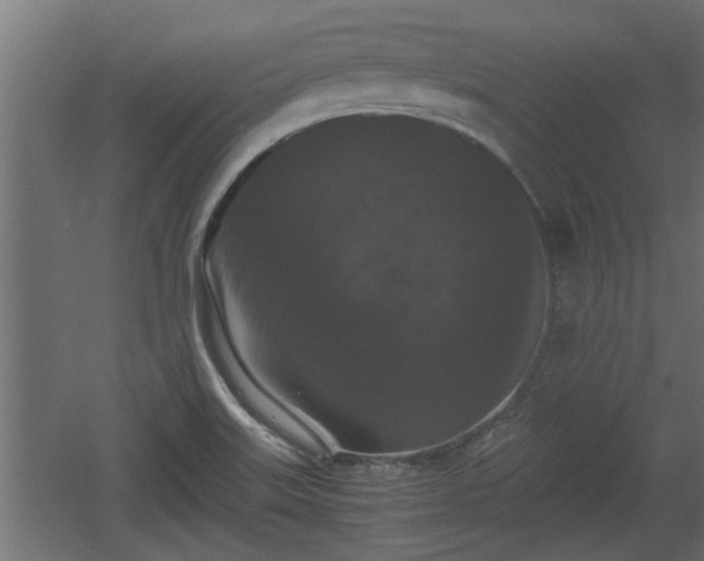 X0000060551515200511070908