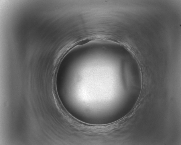 X0000060550001200511101549