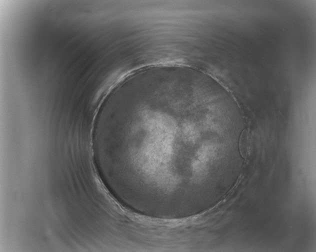 X0000060550002200511101549