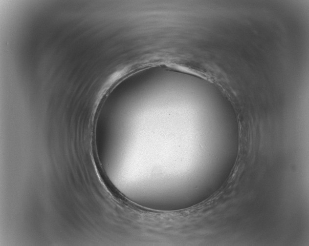 X0000060550003200511101549