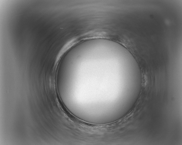 X0000060550004200511101549