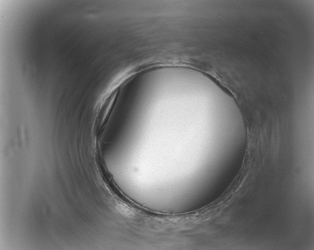 X0000060550005200511101549