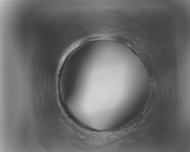 X0000060550006200511101549