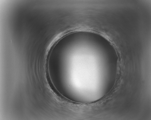 X0000060550007200511101549