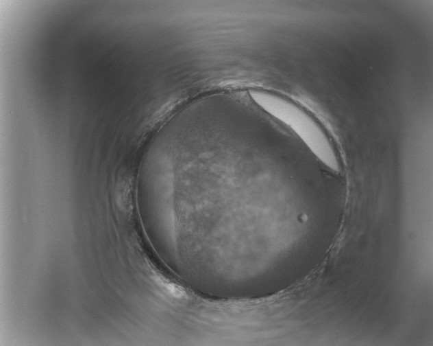 X0000060550009200511101549