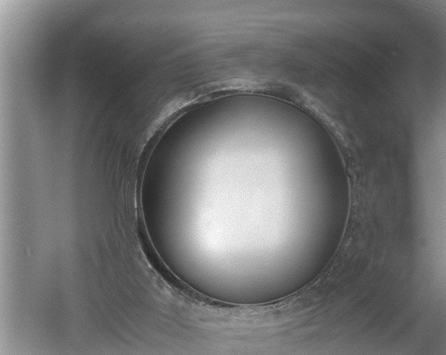 X0000060550011200511101549