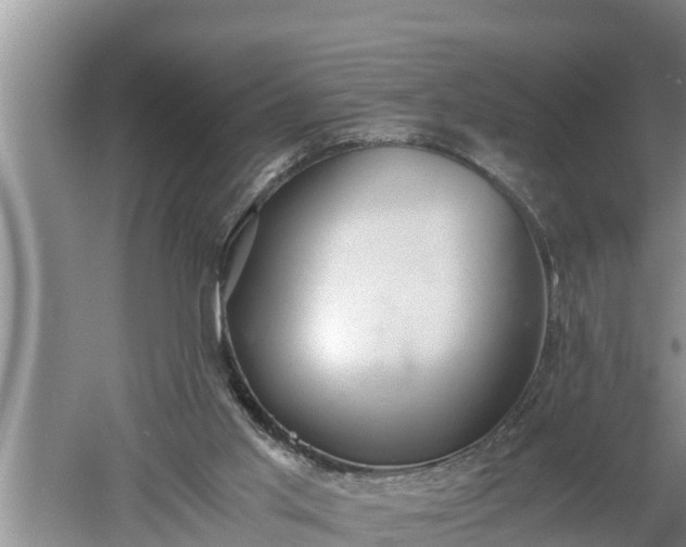 X0000060550013200511101549