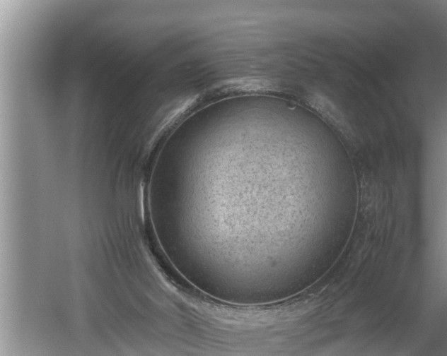 X0000060550014200511101549