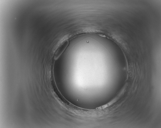 X0000060550015200511101549