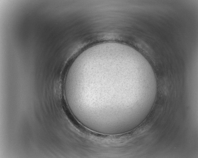 X0000060550016200511101549