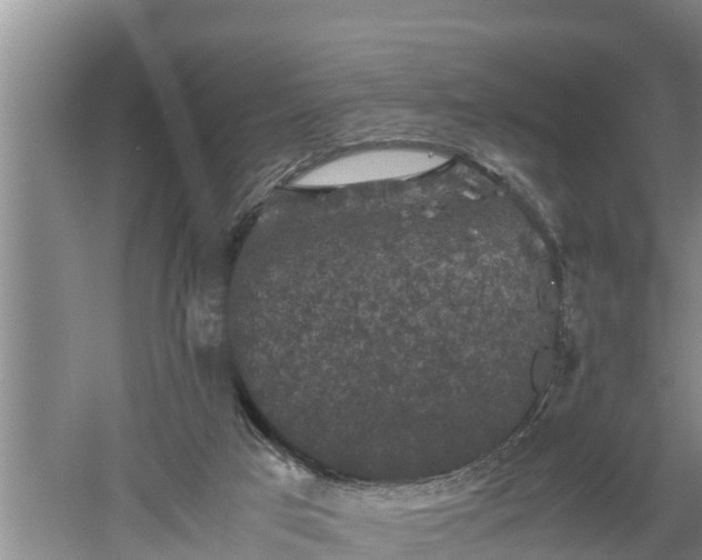 X0000060550017200511101549