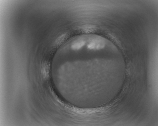 X0000060550018200511101549